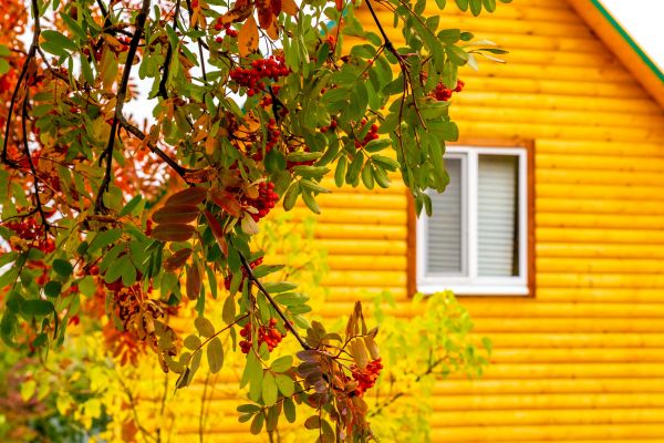 Garden Window Replacement in Rocky River